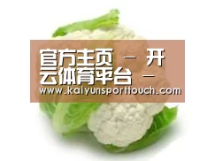产品名称九