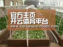 环境展示五