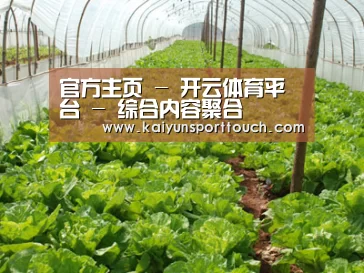 种植基地五