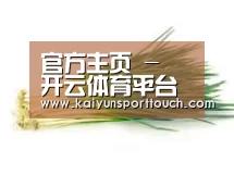 产品名称二