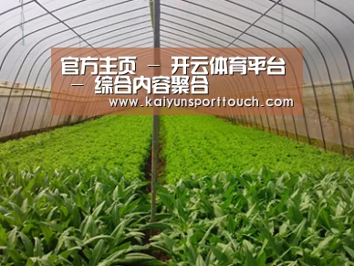 种植基地四
