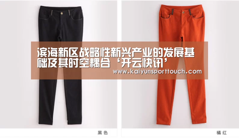 滨海新区战略性新兴产业的发展基础及其时空耦合‘开云快讯’(图1) 开云官网