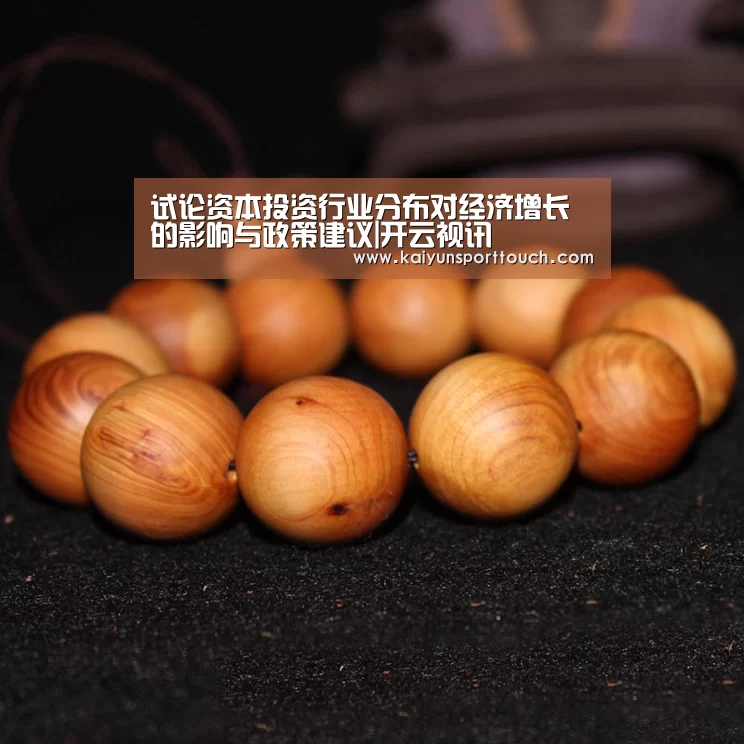 试论资本投资行业分布对经济增长的影响与政策建议|开云视讯(图3) 开云热点